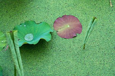 今日上线 《地下城与勇士：起源》畅销&免费双榜第一！